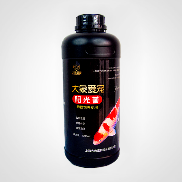 錦鯉-陽(yáng)光菌（500ml）