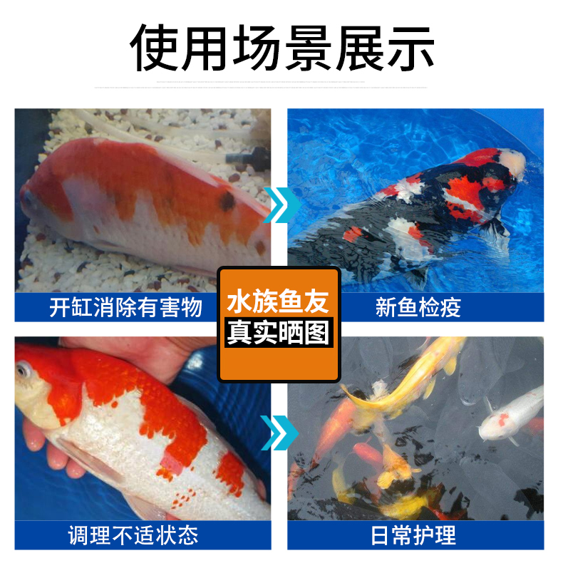 錦鯉魚(yú)病藥